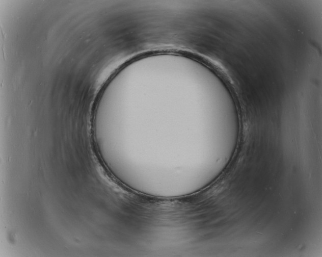 X0000103971279200809191350