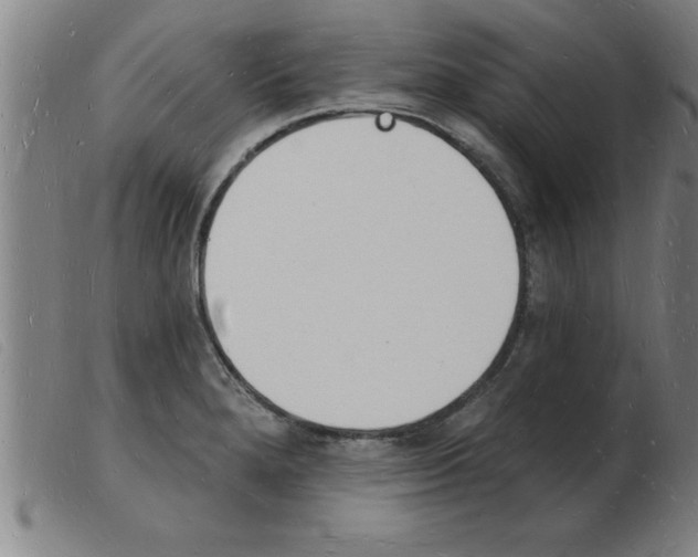X0000103971280200809191350