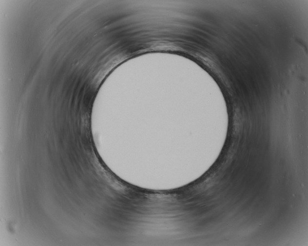 X0000103971281200809191350