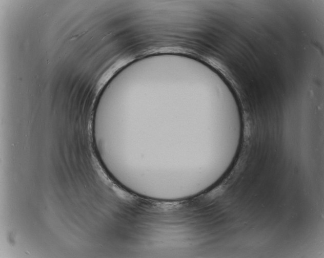 X0000103971282200809191350