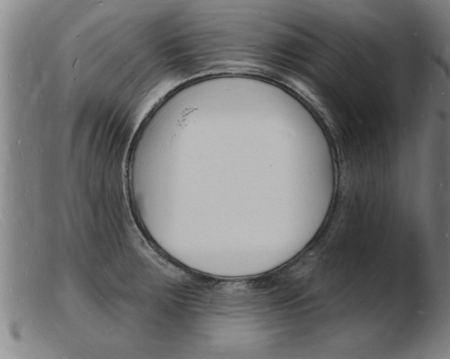 X0000103971283200809191350