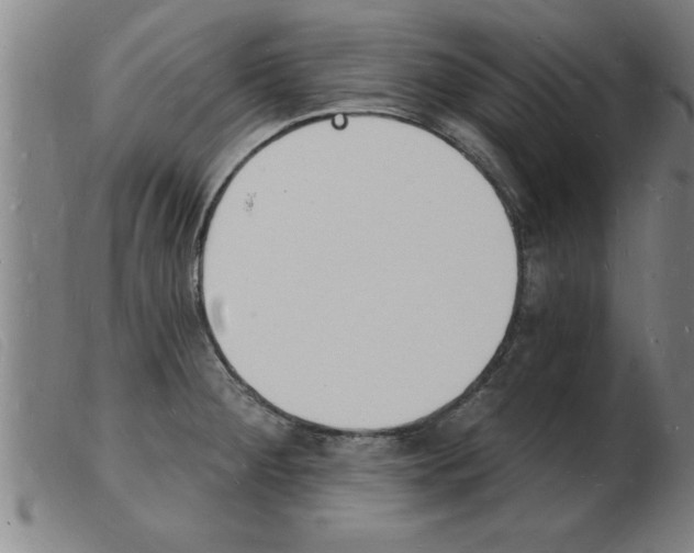 X0000103971284200809191350