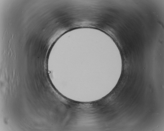 X0000103971285200809191350