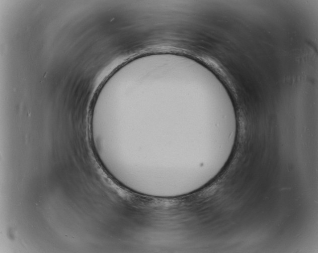 X0000103971286200809191350