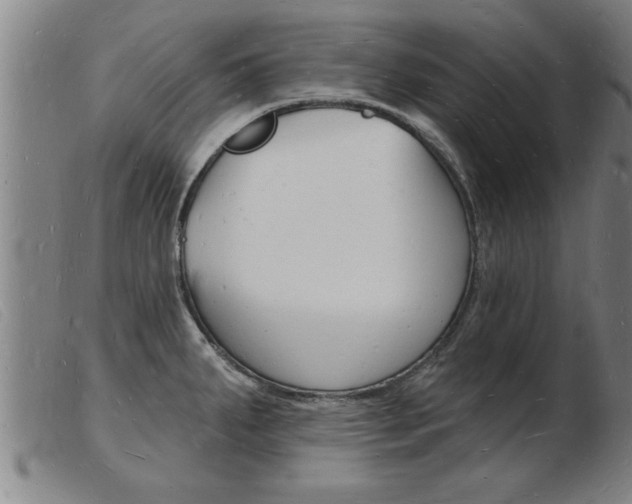 X0000103971287200809191350