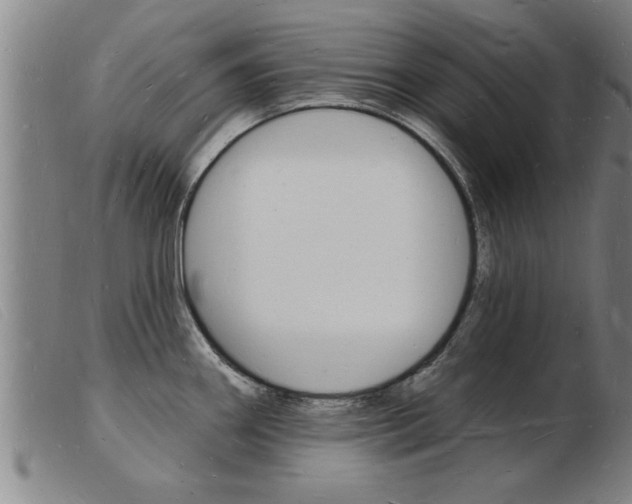 X0000103971290200809191349