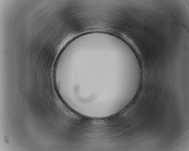 X0000103971291200809191349