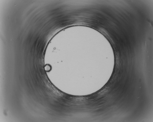 X0000103971292200809191349