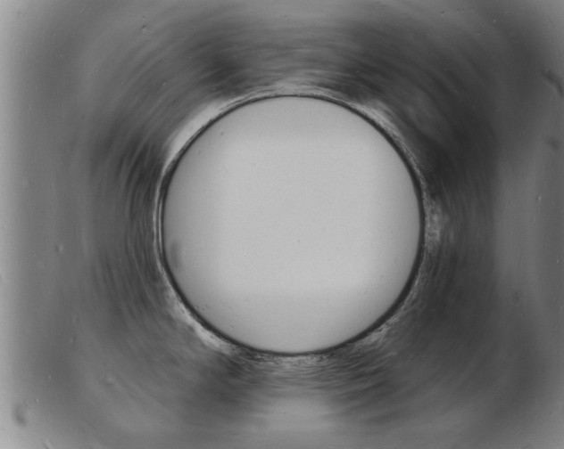 X0000103971294200809191349