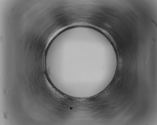 X0000103971295200809191349