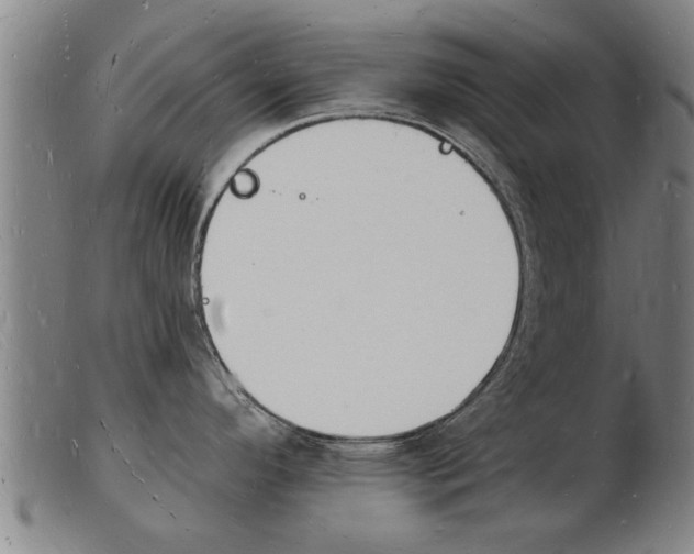 X0000103971296200809191349