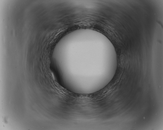 X0000103971297200809191348