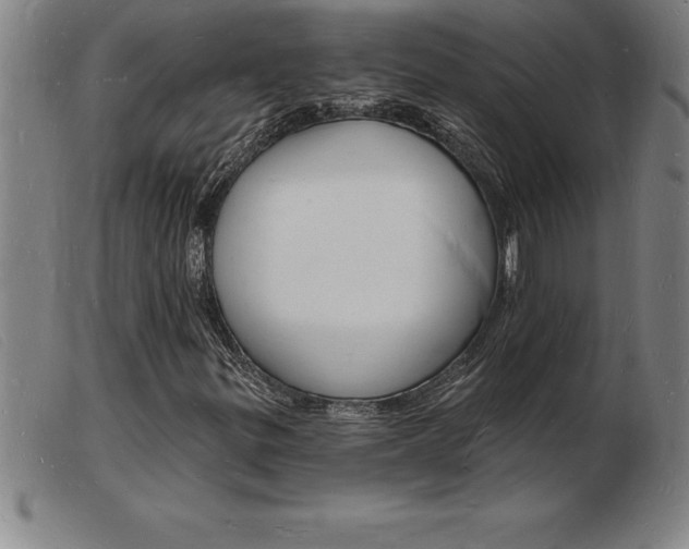X0000103971299200809191348