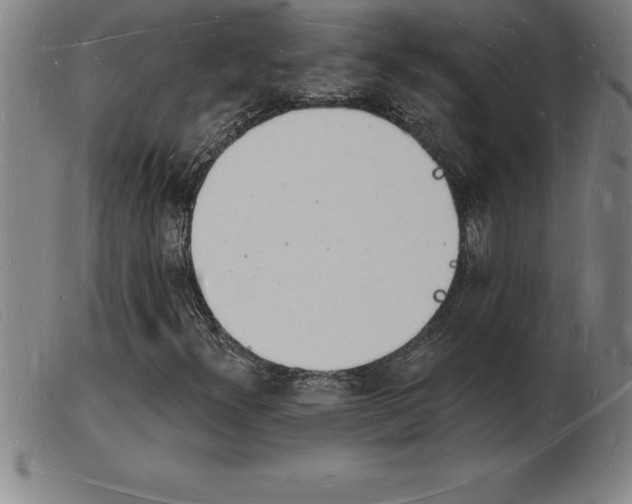 X0000103971300200809191348