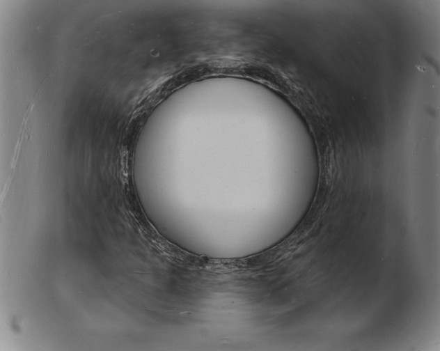 X0000103971301200809191348
