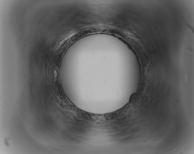 X0000103971302200809191348