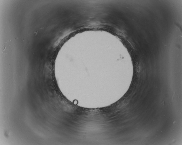 X0000103971304200809191348