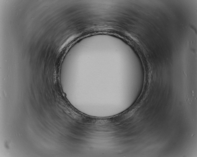 X0000103971306200809191349