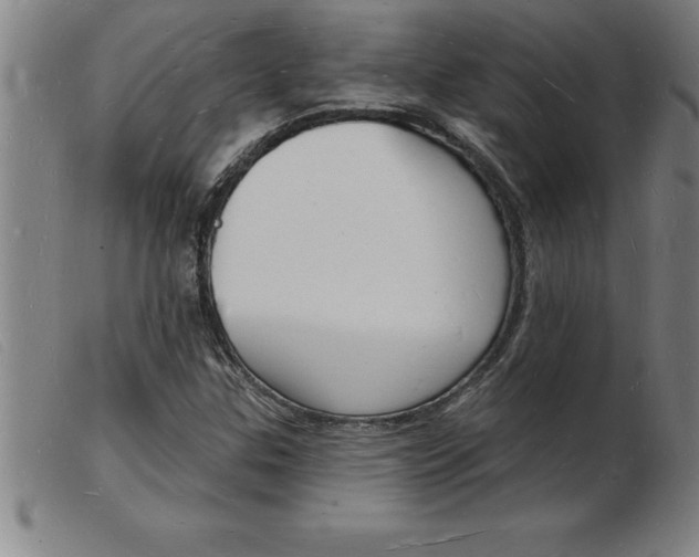 X0000103971307200809191349