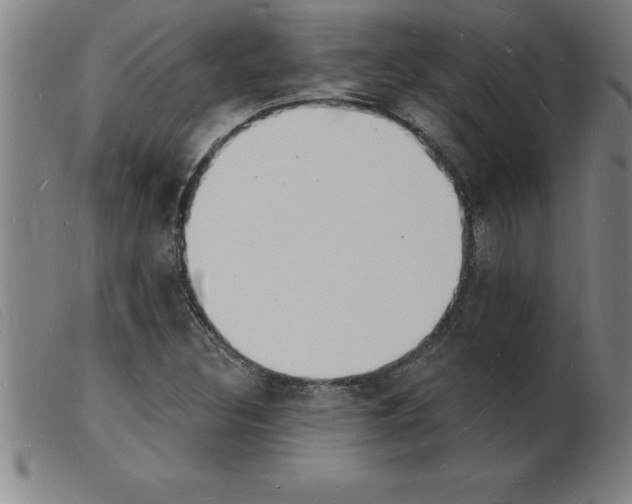 X0000103971308200809191349