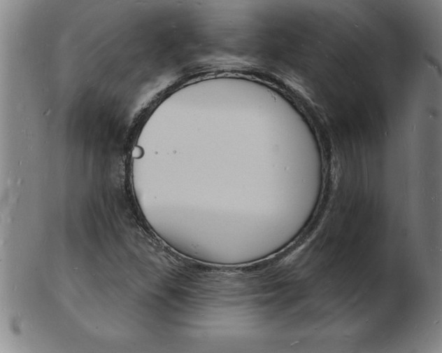 X0000103971309200809191349