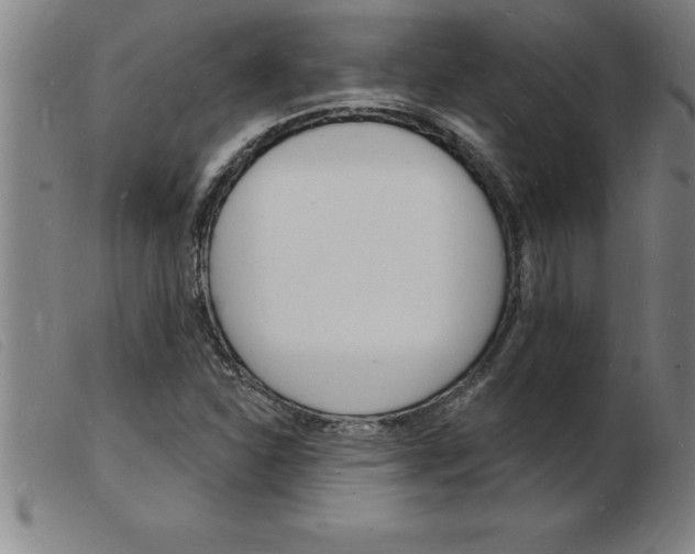 X0000103971310200809191349