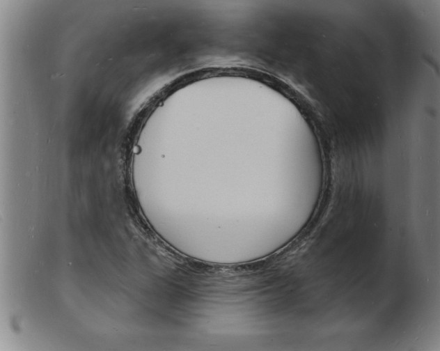 X0000103971311200809191349