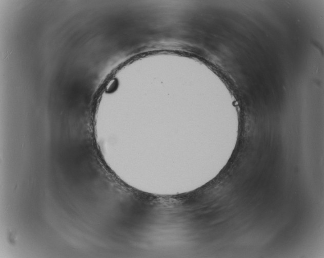 X0000103971312200809191349