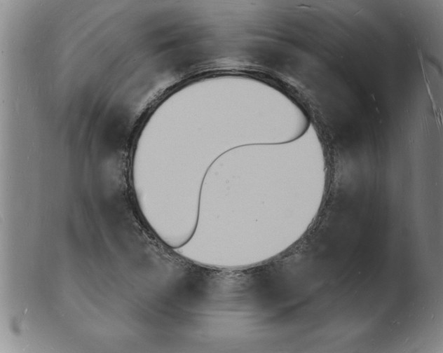 X0000103971314200809191349