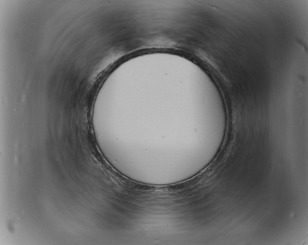 X0000103971315200809191349