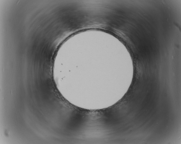 X0000103971316200809191349
