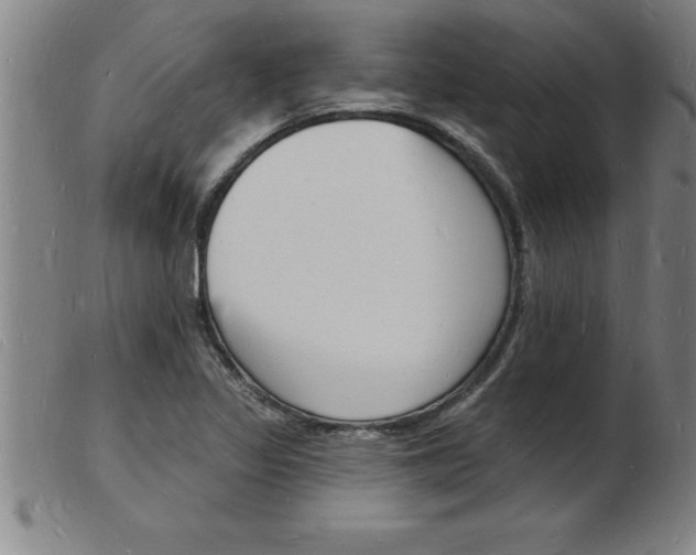 X0000103971317200809191349