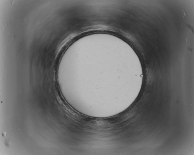 X0000103971318200809191349