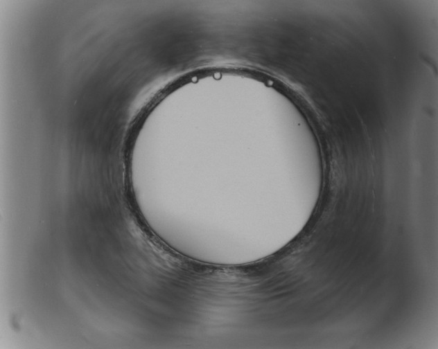 X0000103971319200809191349