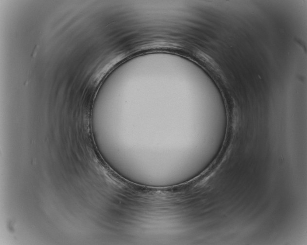 X0000103971321200809191349