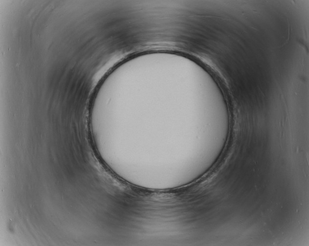 X0000103971325200809191349
