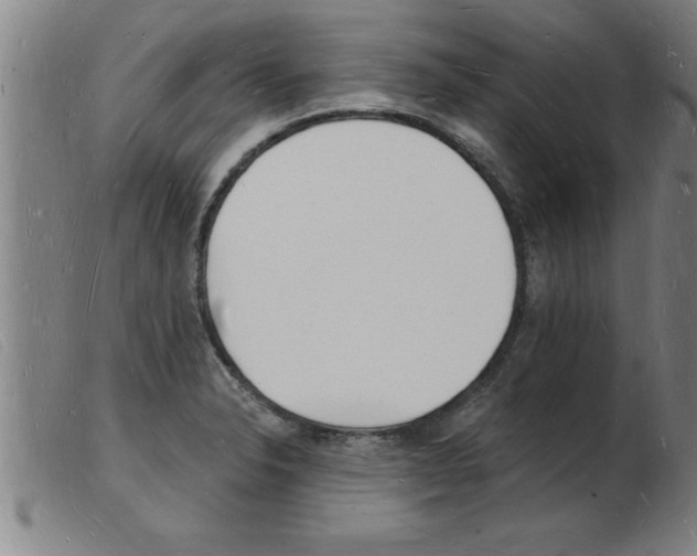 X0000103971326200809191349