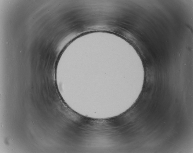 X0000103971328200809191349
