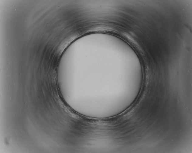 X0000103971329200809191349