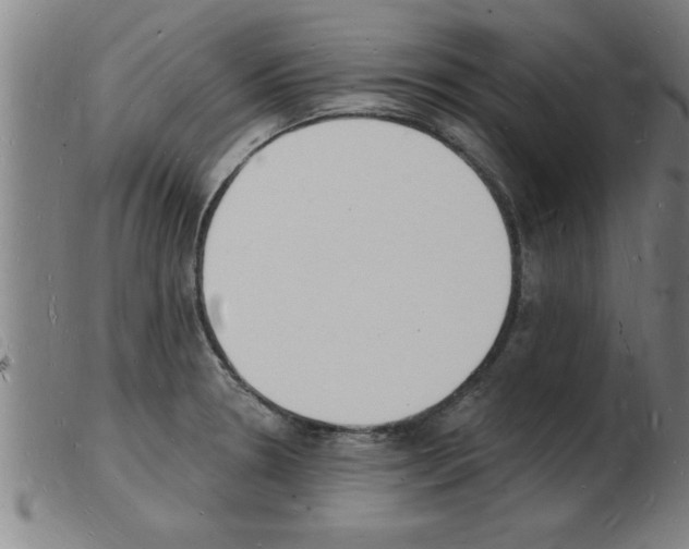 X0000103971330200809191349