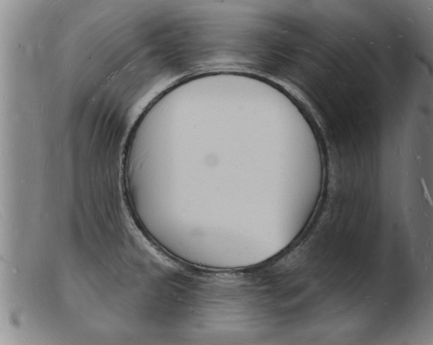 X0000103971333200809191349
