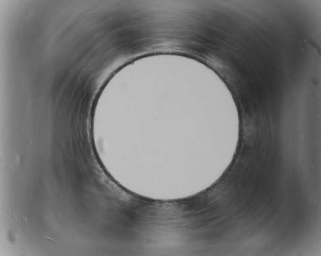 X0000103971334200809191349