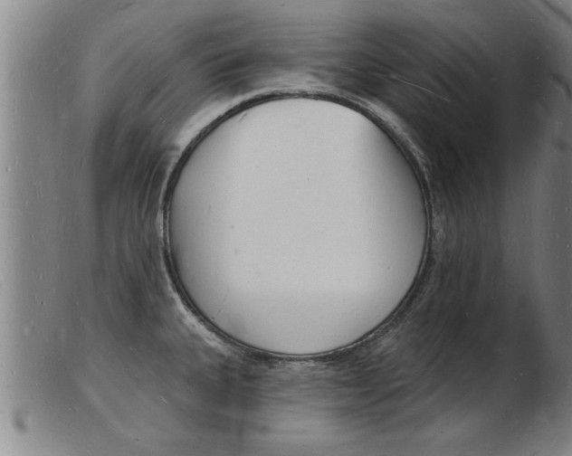 X0000103971335200809191349