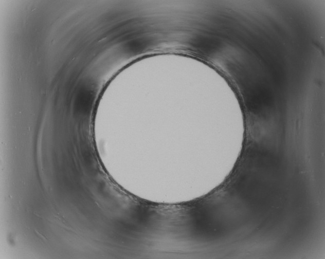 X0000103971336200809191349