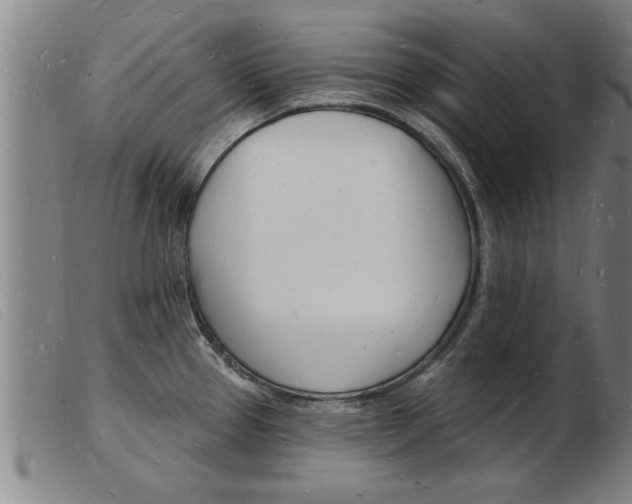 X0000103971337200809191349