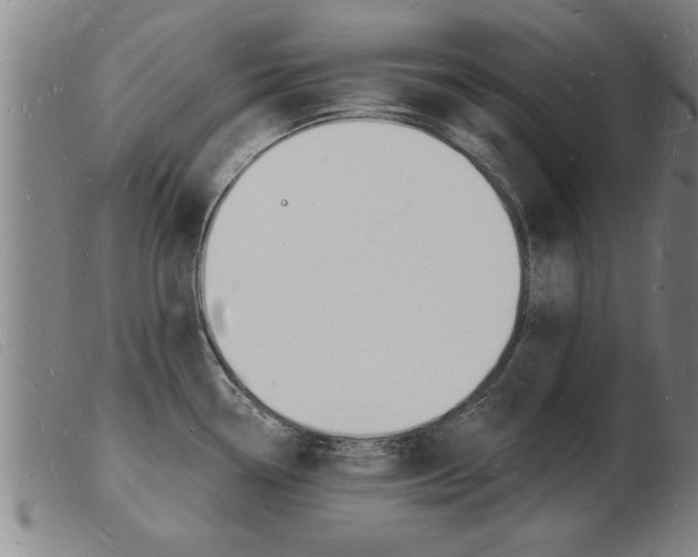 X0000103971338200809191349