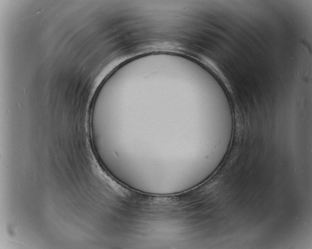 X0000103971339200809191349