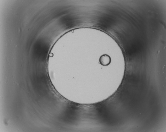 X0000103971340200809191349