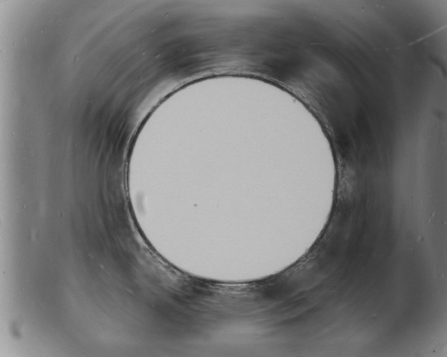 X0000103971342200809191349