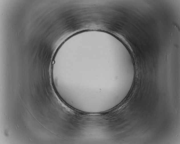 X0000103971343200809191349